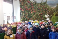 IMG-20191206-WA0035